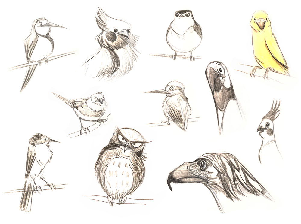 Birds