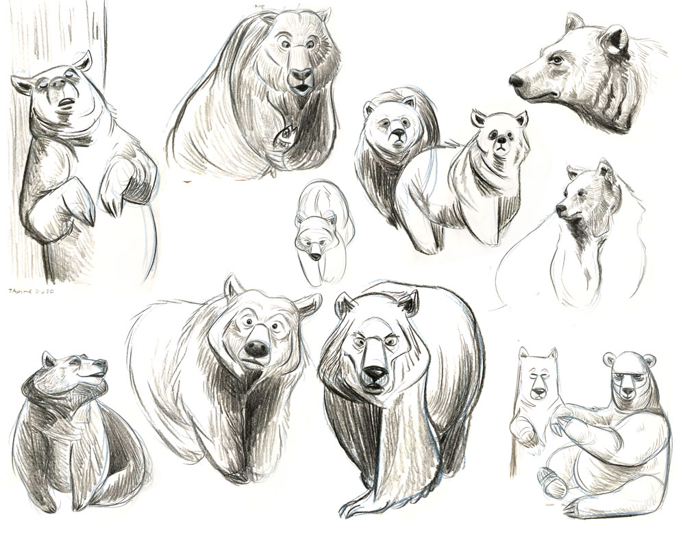 Bears