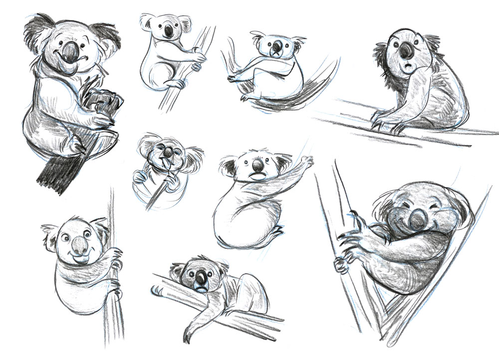 Koalas